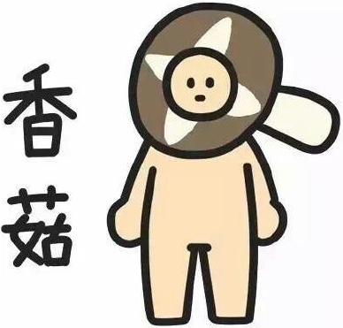 二建復(fù)習(xí)書(shū)太厚 藍(lán)瘦香菇