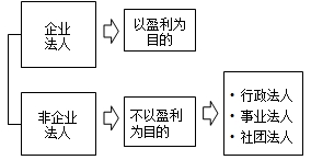 法人的分類(lèi)