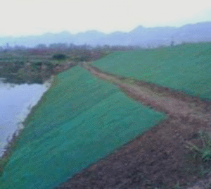二級建造師考試知識點:防護與支擋工程類型