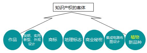 一建法規(guī)考點22 一建法規(guī)考點22